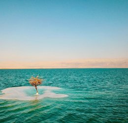 Туры на Мертвое море (Израиль) 2025 - цены на путевки в Израиль из Москвы от туроператора «Пегас Туристик» Туры на Мертвое море (Израиль) 2025 - цены на путевки в Израиль из Москвы от туроператора «Пегас Туристик»