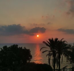 Туры в Нетанию 2025 - цены на путевки в Израиль из Москвы от туроператора «Пегас Туристик» Туры в Нетанию 2025 - цены на путевки в Израиль из Москвы от туроператора «Пегас Туристик»