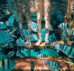 Туры в Эйлат 2025 - цены на путевки в Израиль из Москвы от туроператора «Пегас Туристик» Туры в Эйлат 2025 - цены на путевки в Израиль из Москвы от туроператора «Пегас Туристик»