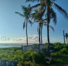 Туры в Ченнай 2025 - цены на путевки в Индию из Москвы от туроператора «Пегас Туристик»