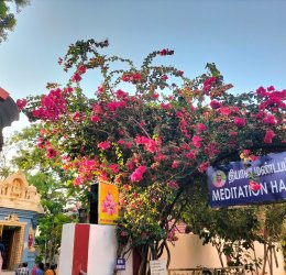 Туры в Ченнай 2025 - цены на путевки в Индию из Москвы от туроператора «Пегас Туристик»