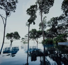 Туры на о. Бинтан 2025 - цены на путевки в Индонезию из Москвы от туроператора «Пегас Туристик»