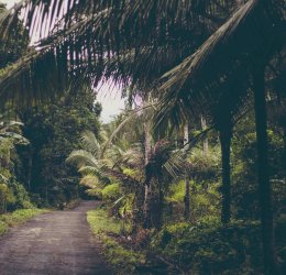 Туры на о. Сулавеси 2025 - цены на путевки в Индонезию из Москвы от туроператора «Пегас Туристик» Туры на о. Сулавеси 2025 - цены на путевки в Индонезию из Москвы от туроператора «Пегас Туристик»