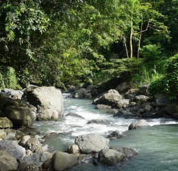 Туры на о. Сулавеси 2025 - цены на путевки в Индонезию из Москвы от туроператора «Пегас Туристик» Туры на о. Сулавеси 2025 - цены на путевки в Индонезию из Москвы от туроператора «Пегас Туристик»