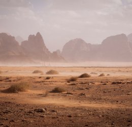 Туры в Иорданию 2025 из Москвы - цена на отдых от туроператора «Пегас Туристик»