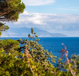 Туры в Коста Дель Азар 2025 - цены на путевки в Испанию из Москвы от туроператора «Пегас Туристик»