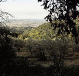 Туры во Флоренцию 2025 - цены на путевки в Италию из Москвы от туроператора «Пегас Туристик»