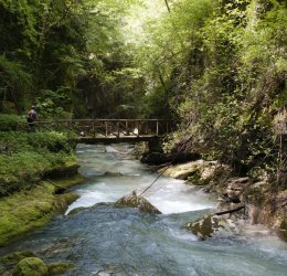 Туры в Монтегротто-Терме 2025 - цены на путевки в Италию из Москвы от туроператора «Пегас Туристик»