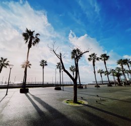 Туры в Лимассол 2025 - цены на путевки на Кипр из Москвы от туроператора «Пегас Туристик»