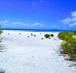 Туры в Варадеро 2025 - цены на путевки на Кубу из Москвы от туроператора «Пегас Туристик» Туры в Варадеро 2025 - цены на путевки на Кубу из Москвы от туроператора «Пегас Туристик»