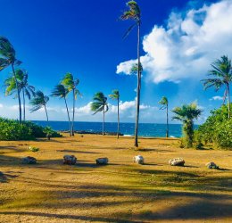 Туры на о. Кайо Гильермо 2025 - цены на путевки на Кубу из Москвы от туроператора «Пегас Туристик» Туры на о. Кайо Гильермо 2025 - цены на путевки на Кубу из Москвы от туроператора «Пегас Туристик»