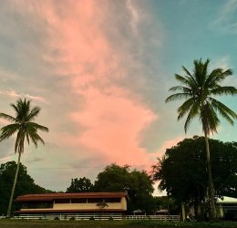 Туры на о. Кайо Коко 2025 - цены на путевки на Кубу из Москвы от туроператора «Пегас Туристик» Туры на о. Кайо Коко 2025 - цены на путевки на Кубу из Москвы от туроператора «Пегас Туристик»