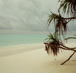 Туры на Мальдивы 2025 из Москвы - цена на отдых от туроператора «Пегас Туристик» Туры на Мальдивы 2025 из Москвы - цена на отдых от туроператора «Пегас Туристик»