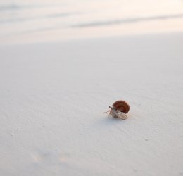 Туры на Мальдивы 2025 из Москвы - цена на отдых от туроператора «Пегас Туристик» Туры на Мальдивы 2025 из Москвы - цена на отдых от туроператора «Пегас Туристик»