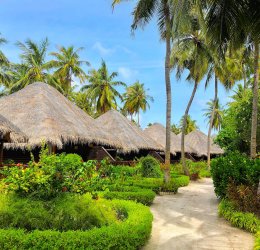 Туры на Мальдивы 2025 из Москвы - цена на отдых от туроператора «Пегас Туристик» Туры на Мальдивы 2025 из Москвы - цена на отдых от туроператора «Пегас Туристик»