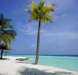 Туры на Ари Атолл 2025 - цены на путевки на Мальдивы из Москвы от туроператора «Пегас Туристик»