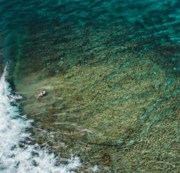 Туры на Лавияни Атолл 2025 - цены на путевки на Мальдивы из Москвы от туроператора «Пегас Туристик»