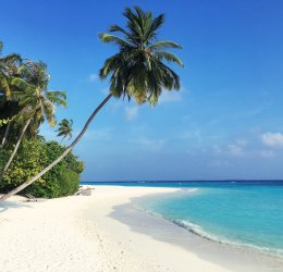 Туры в Мале 2025 - цены на путевки на Мальдивы из Москвы от туроператора «Пегас Туристик»