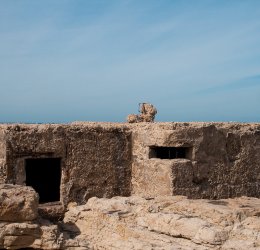 Туры в Аура 2025 - цены на путевки на Мальту из Москвы от туроператора «Пегас Туристик» Туры в Аура 2025 - цены на путевки на Мальту из Москвы от туроператора «Пегас Туристик»