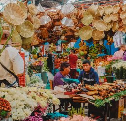 Туры в Мехико 2025 - цены на путевки в Мексику из Москвы от туроператора «Пегас Туристик» Туры в Мехико 2025 - цены на путевки в Мексику из Москвы от туроператора «Пегас Туристик»