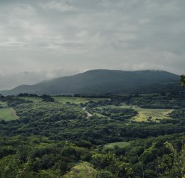 Туры в Морелос 2025 - цены на путевки в Мексику из Москвы от туроператора «Пегас Туристик» Туры в Морелос 2025 - цены на путевки в Мексику из Москвы от туроператора «Пегас Туристик»