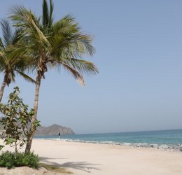 Туры в Корфаккан 2025 - цены на путевки в ОАЭ из Москвы от туроператора «Пегас Туристик» Туры в Корфаккан 2025 - цены на путевки в ОАЭ из Москвы от туроператора «Пегас Туристик»