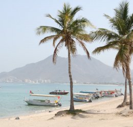 Туры в Корфаккан 2025 - цены на путевки в ОАЭ из Москвы от туроператора «Пегас Туристик» Туры в Корфаккан 2025 - цены на путевки в ОАЭ из Москвы от туроператора «Пегас Туристик»