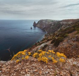 Туры в Саки 2025 - цены на путевки по России из Москвы от туроператора «Пегас Туристик»