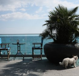 Туры в Ялту 2025 - цены на путевки по России из Москвы от туроператора «Пегас Туристик»