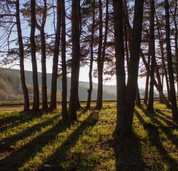 Туры в Ессентуки 2025 - цены на путевки по России из Москвы от туроператора «Пегас Туристик»