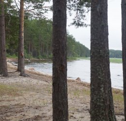 Туры в Карелию 2025 - цены на путевки по России из Москвы от туроператора «Пегас Туристик» Туры в Карелию 2025 - цены на путевки по России из Москвы от туроператора «Пегас Туристик»