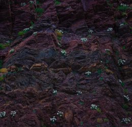 Туры в Кисловодск 2025 - цены на путевки по России из Москвы от туроператора «Пегас Туристик»