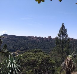 Туры в Миниральные воды 2025 - цены на путевки по России из Москвы от туроператора «Пегас Туристик»