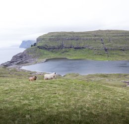 Туры в Соловецкие острова 2025 - цены на путевки по России из Москвы от туроператора «Пегас Туристик»