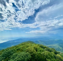 Туры в Сочи 2025 - цены на путевки по России из Москвы от туроператора «Пегас Туристик»