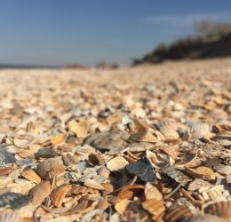 Туры в Краснодарский край 2025 - цены на путевки по России из Москвы от туроператора «Пегас Туристик»