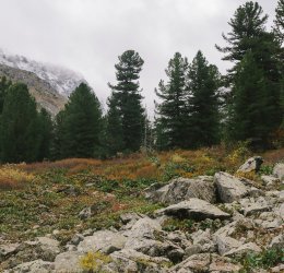 Туры в Краснодарский край 2025 - цены на путевки по России из Москвы от туроператора «Пегас Туристик»