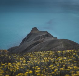 Туры в Коктебель 2025 - цены на путевки по России из Москвы от туроператора «Пегас Туристик»