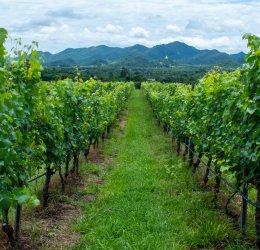 Туры в Хуа Хин 2025 - цены на путевки в Таиланд из Москвы от туроператора «Пегас Туристик» Туры в Хуа Хин 2025 - цены на путевки в Таиланд из Москвы от туроператора «Пегас Туристик»