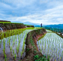 Туры в Чианг Маи 2025 - цены на путевки в Таиланд из Москвы от туроператора «Пегас Туристик» Туры в Чианг Маи 2025 - цены на путевки в Таиланд из Москвы от туроператора «Пегас Туристик»