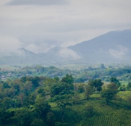 Туры в Чианг Маи 2025 - цены на путевки в Таиланд из Москвы от туроператора «Пегас Туристик» Туры в Чианг Маи 2025 - цены на путевки в Таиланд из Москвы от туроператора «Пегас Туристик»