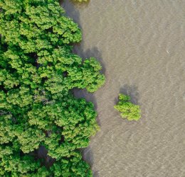 Туры на о. Чанг 2025 - цены на путевки в Таиланд из Москвы от туроператора «Пегас Туристик» Туры на о. Чанг 2025 - цены на путевки в Таиланд из Москвы от туроператора «Пегас Туристик»