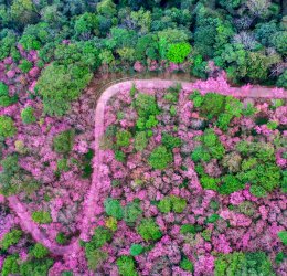 Туры в Чианг Раи 2025 - цены на путевки в Таиланд из Москвы от туроператора «Пегас Туристик»
