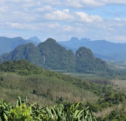 Туры в Сураттани 2025 - цены на путевки в Таиланд из Москвы от туроператора «Пегас Туристик» Туры в Сураттани 2025 - цены на путевки в Таиланд из Москвы от туроператора «Пегас Туристик»