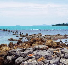 Туры в Сураттани 2025 - цены на путевки в Таиланд из Москвы от туроператора «Пегас Туристик» Туры в Сураттани 2025 - цены на путевки в Таиланд из Москвы от туроператора «Пегас Туристик»