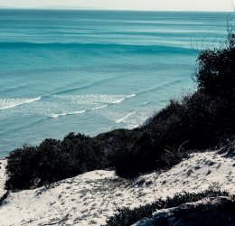 Туры в Хаммамет 2025 - цены на путевки в Тунис из Москвы от туроператора «Пегас Туристик»