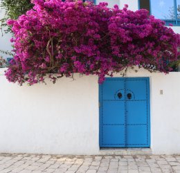 Туры в Дуз 2025 - цены на путевки в Тунис из Москвы от туроператора «Пегас Туристик» Туры в Дуз 2025 - цены на путевки в Тунис из Москвы от туроператора «Пегас Туристик»