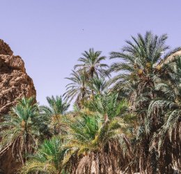 Туры в Ла Гулетт 2025 - цены на путевки в Тунис из Москвы от туроператора «Пегас Туристик»