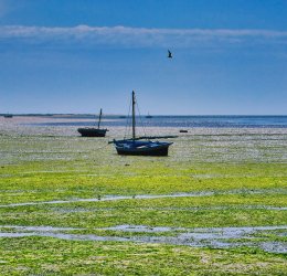 Туры в Седрию Бич 2025 - цены на путевки в Тунис из Москвы от туроператора «Пегас Туристик» Туры в Седрию Бич 2025 - цены на путевки в Тунис из Москвы от туроператора «Пегас Туристик»