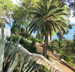 Туры в Табарку 2025 - цены на путевки в Тунис из Москвы от туроператора «Пегас Туристик» Туры в Табарку 2025 - цены на путевки в Тунис из Москвы от туроператора «Пегас Туристик»